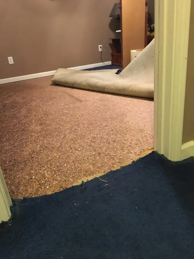 Carpet pad removal revealing water damage during Drying & Dehumidification in Kendall