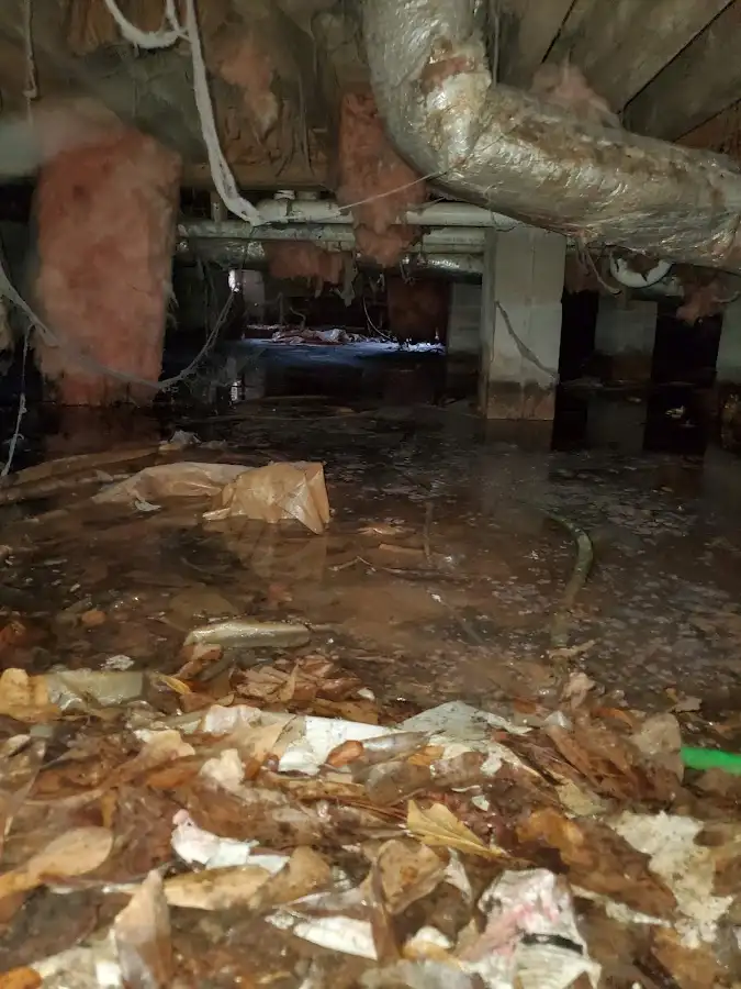 Crawl space flood assessment for Leak Detection & Repair in Kendall