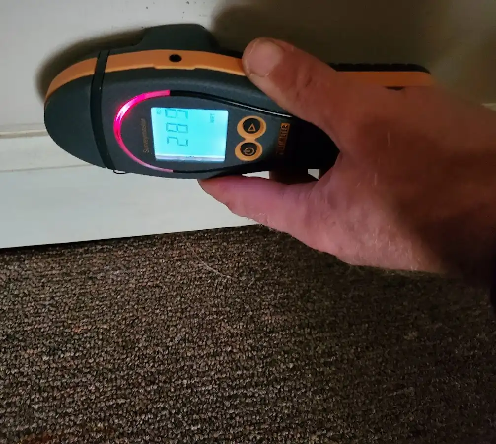 Moisture detection at baseboard during Mold Inspection & Testing in Kendall